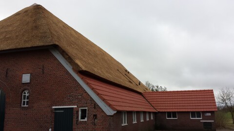 Rieten dak volledig gereed na renovatie